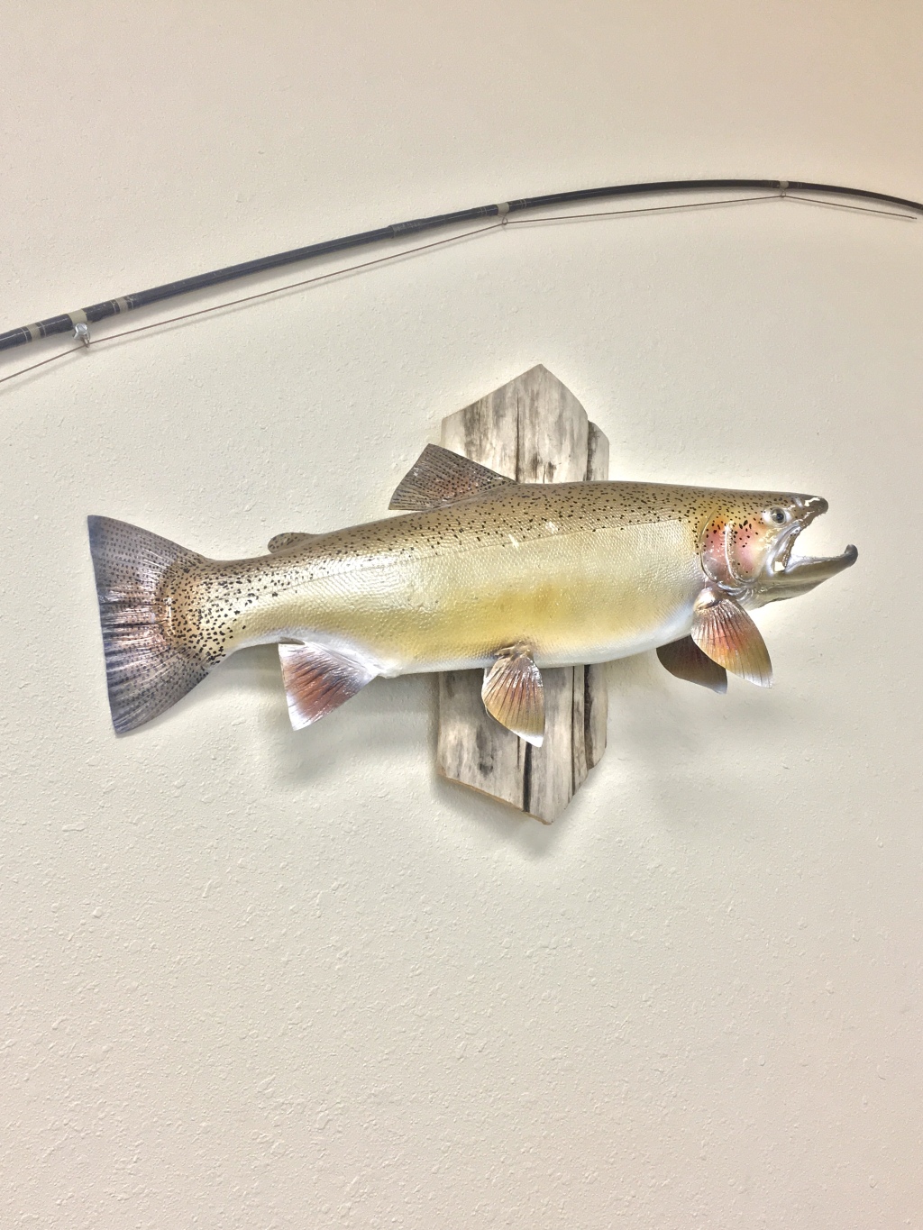 Mora National Fish Hatchery (Mora, NM)